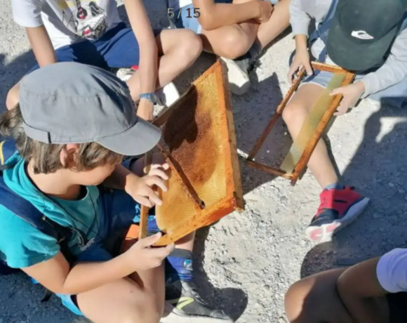 Découverte de l'apiculture - Classe rousse - Classes de découvertes - Centre Le Bien Veillant dans les Alpes (38)