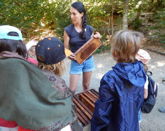 Apiculture - Classe verte - Classes de découvertes - Centre Le Bien Veillant dans les Alpes (38)