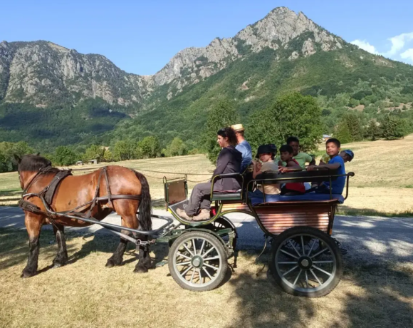 Balade en calèche - Colo Passion animal - Centre de colonies de vacances Le Bien Veillant à l'Alpe du Grand Serre en Isère (38)