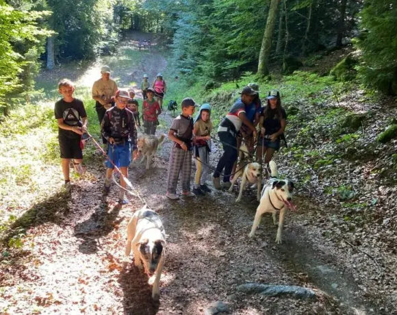 Balade cani-rando - Centre de colonies de vacances Le Bien Veillant à l'Alpe du Grand Serre en Isère (38)