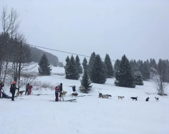 Balade en chiens de traîneaux - Classe de neige - Classes de découvertes - Centre Le Bien Veillant dans les Alpes (38)