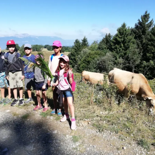 Balade en montagne - Colonies de vacances - Centre Le Bien Veillant dans les Alpes (38) Balade en montagne - Colo de vacances - Centre Le Bien Veillant dans les Alpes (38)