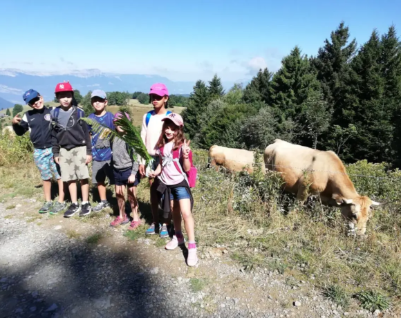 Balade en montagne - Colo de vacances - Centre Le Bien Veillant dans les Alpes (38)