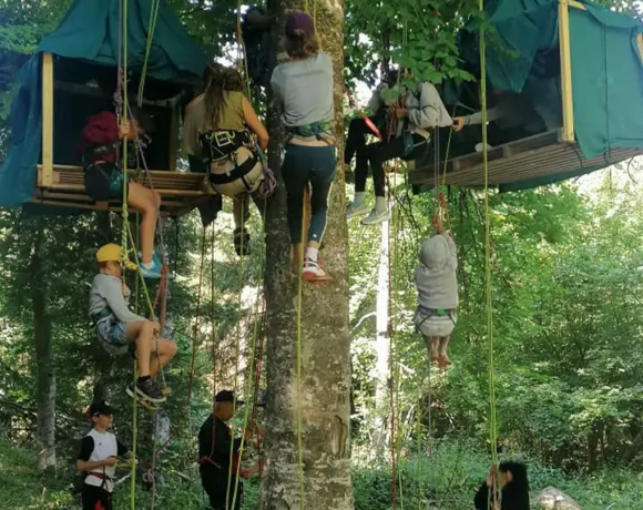 Cabane dans les arbres - Colo Cabanes en équilibre - Colonies de vacances - Centre Le Bien Veillant dans les Alpes (38)