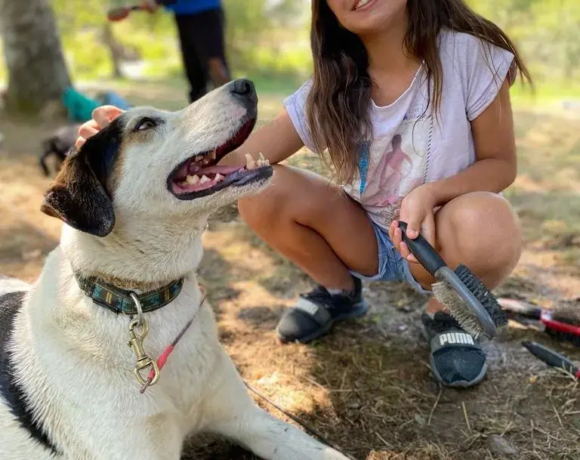 Randonnée avec des chiens - Centre de colonies de vacances Le Bien Veillant à l'Alpe du Grand Serre en Isère (38)