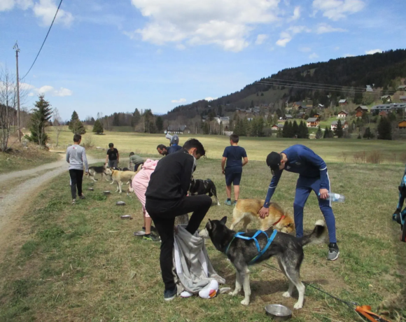 Balade cani rando - Colo Passion animal - Colonies de vacances - Centre Le Bien Veillant dans les Alpes (38)