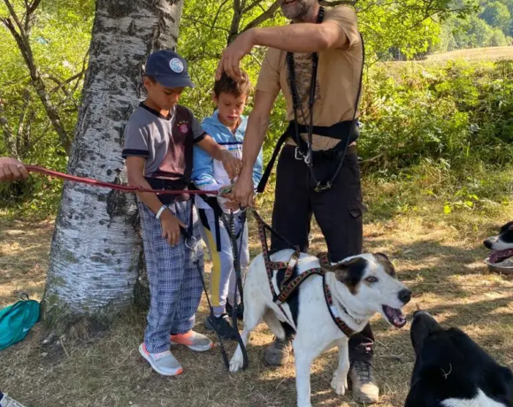 Cani-rando et son musher - Centre de colonies de vacances Le Bien Veillant à l'Alpe du Grand Serre en Isère (38)