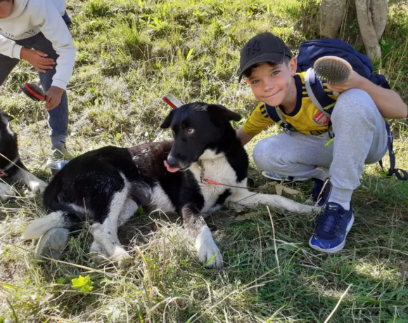 Chien - Colo Passion animal - Colonies de vacances - Centre Le Bien Veillant dans les Alpes (38)