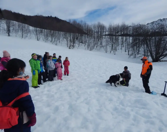 Découverte du métier de pisteur et de son chien d'avalanche - Classe de neige - Classes de découvertes - Centre Le Bien Veillant dans les Alpes (38)