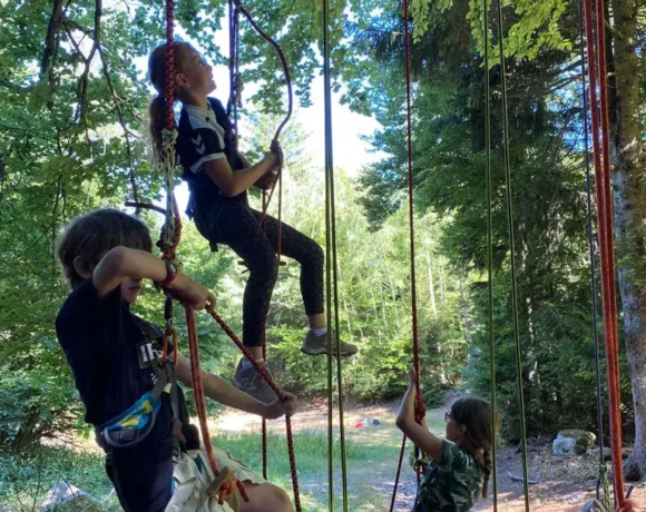 Escalade d'arbre - Colo Cabanes en équilibre - Colonies de vacances - Centre Le Bien Veillant dans les Alpes (38)