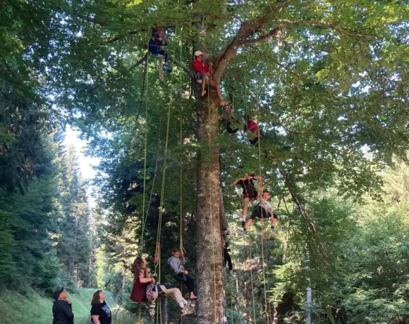 Grimper un arbre avec un harnais de sécurité - Colo Cabanes en équilibre - Colonies de vacances - Centre Le Bien Veillant dans les Alpes (38)