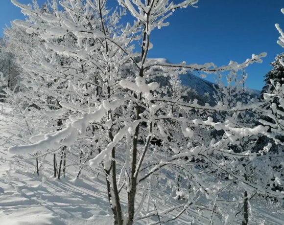 En hiver - Colo Noël - Colonies de vacances - Centre Le Bien Veillant dans les Alpes (38)