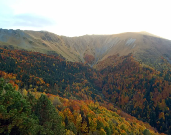 Le Grand Serre en Automne - Classe rousse - Classes de découvertes - Centre Le Bien Veillant dans les Alpes (38)