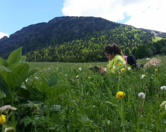 Lecture du paysage - Classe verte - Classes de découvertes - Centre Le Bien Veillant dans les Alpes (38)