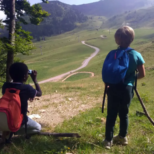 Les marmottes - Classe verte - Classes de découvertes - Centre Le Bien Veillant dans les Alpes (38)