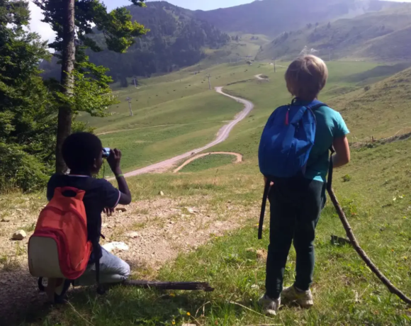 Les marmottes - Classe verte - Classes de découvertes - Centre Le Bien Veillant dans les Alpes (38)