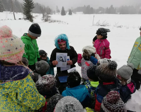 Présentation des différents chiens de traîneaux - Classe de neige - Classes de découvertes - Centre Le Bien Veillant dans les Alpes (38)