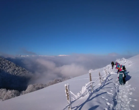 Balade en raquettes - Classe de neige - Classes de découvertes - Centre Le Bien Veillant dans les Alpes (38)