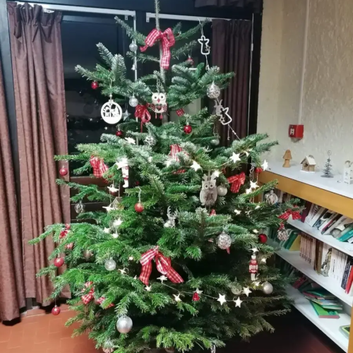 Sapin de Noël - Colo Noël - Colonies de vacances - Centre Le Bien Veillant dans les Alpes (38)