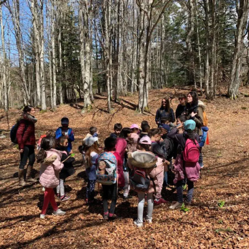 Séance nature en forêt - Classe rousse - Classes de découvertes - Centre Le Bien Veillant dans les Alpes (38)