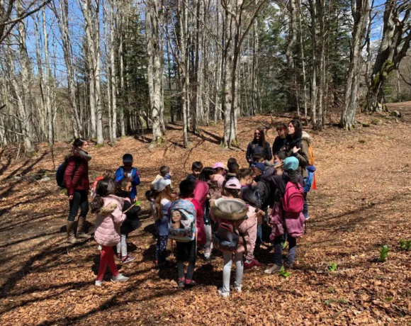 Séance nature en forêt - Classe rousse - Classes de découvertes - Centre Le Bien Veillant dans les Alpes (38)