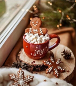 cocooning - chocolat chaud de noël