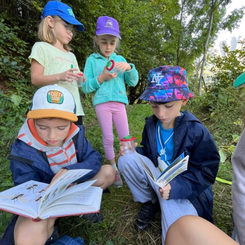 Copains des bois alpes du grand serre, Isère, Le Bien Veillant
