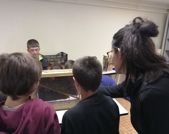 Apiculture Centre de classes découvertes Le Bien Veillant à l'Alpe du Grand Serre en Isère (38)